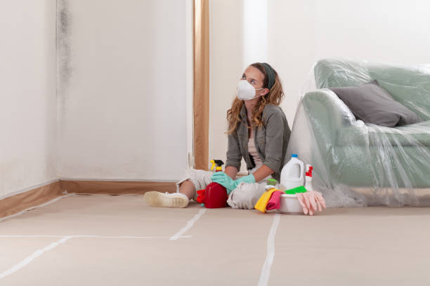Reliable Black Mold Removal contractor in Toddville, MD by WQB Mold Removal